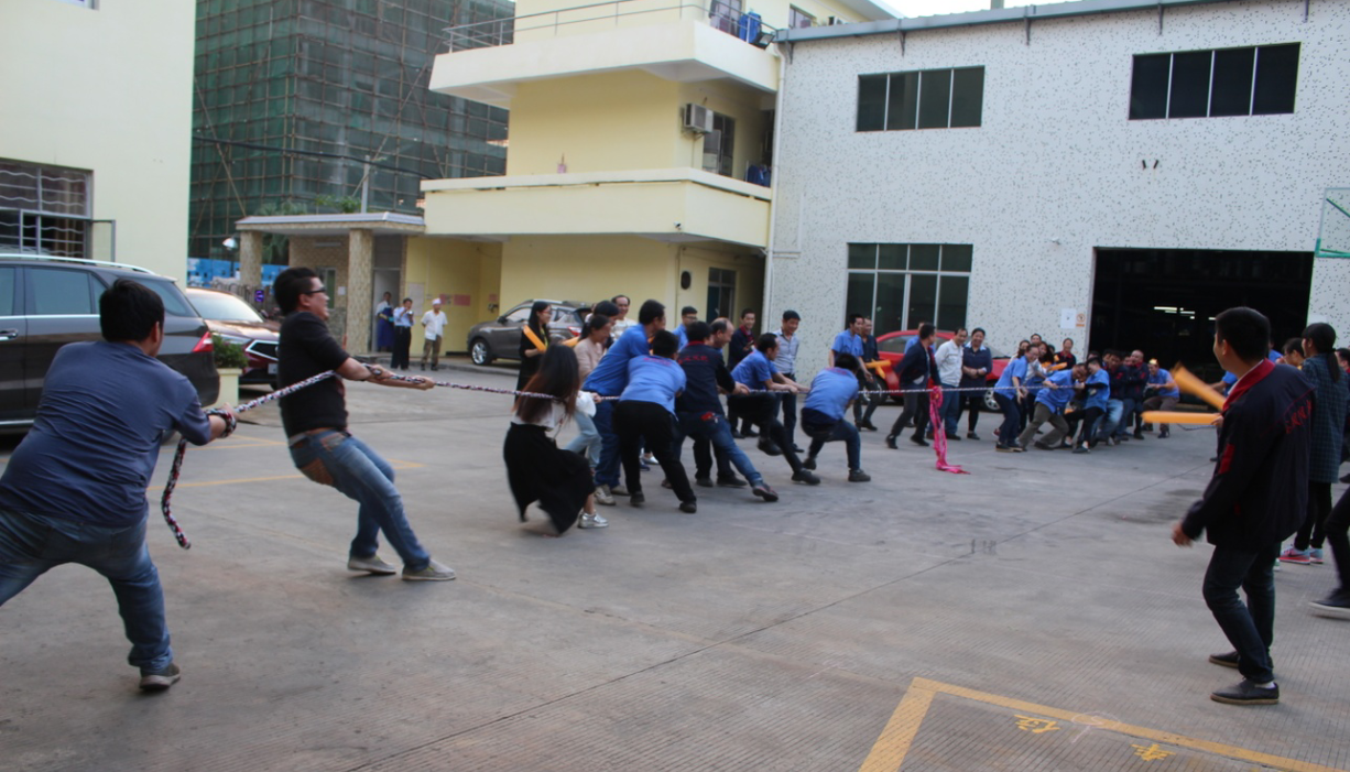 鑫風(fēng)運(yùn)動會